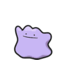 Ditto